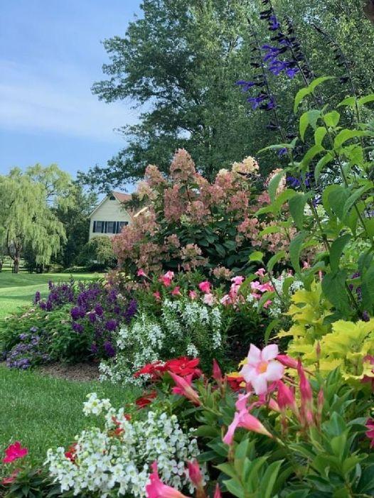 Landscaping Portfolio Whitehouse Landscaping